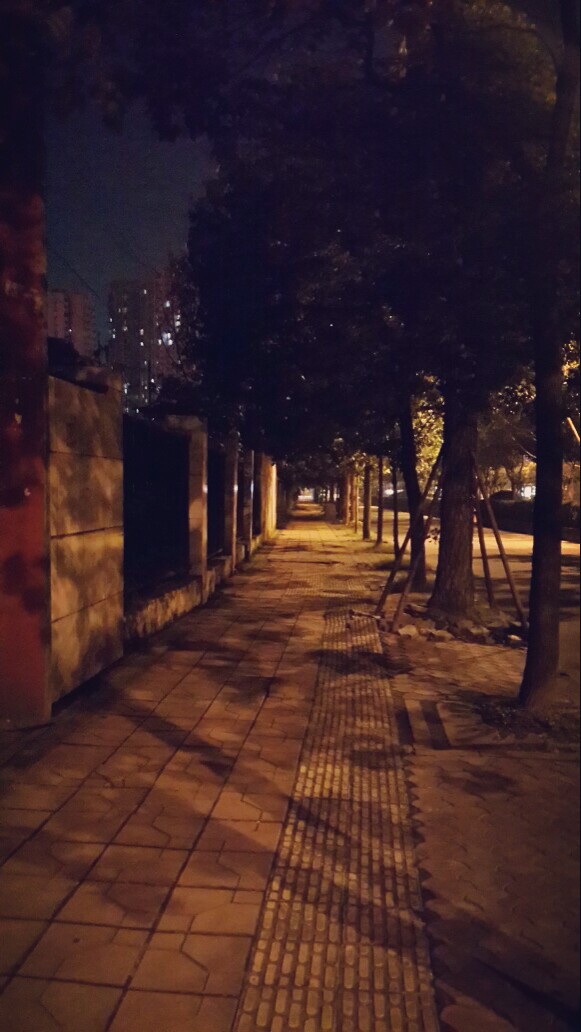 总有那么一段黑暗的路要慢慢走过