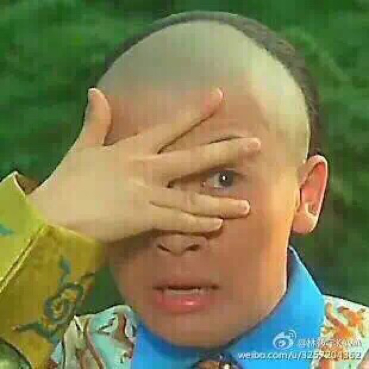 表情包 还珠格格五阿哥 不敢看
