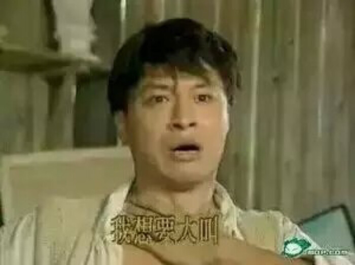 我想要大叫 马景涛 表情包