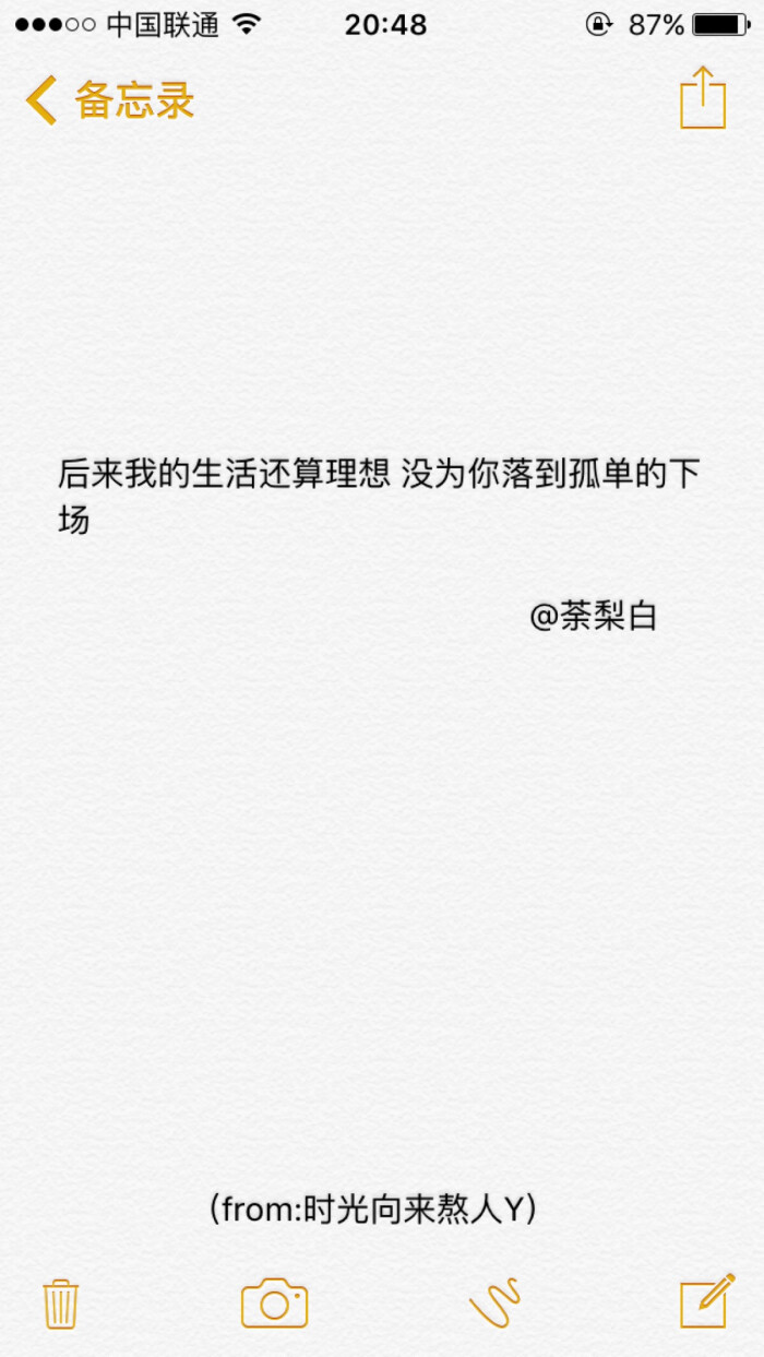 备忘录文字.后来我的生活还算理想 没为你落到孤单的下场