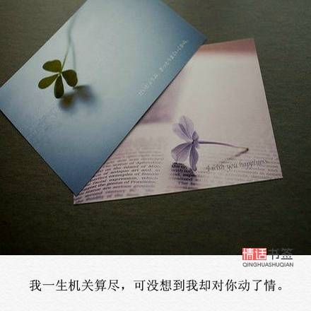 文字句子图片#治愈#青春#励志#唯美#壁纸#头像#by情话书签