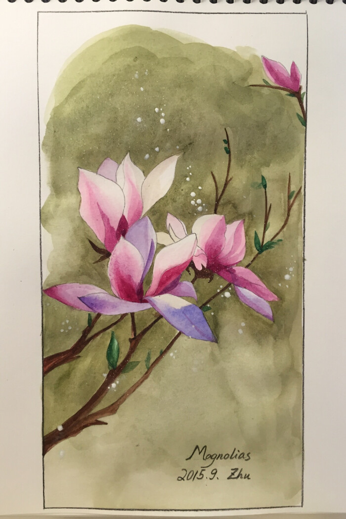水彩手绘 · 木兰花