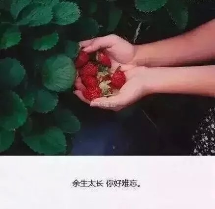 余生太长,你好难忘.