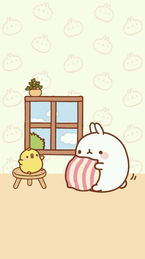 来自韩国的可爱兔子～molang