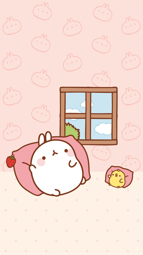 来自韩国的可爱兔子～molang