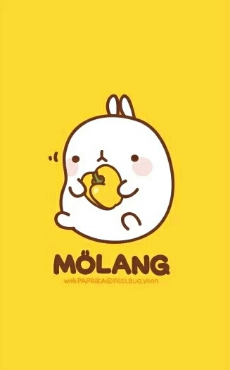 来自韩国的可爱兔子～molang