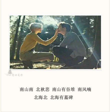 自由的味道像极了孤独