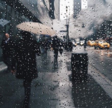 既然活着,就不遗余力,即使经历倾盆大雨.