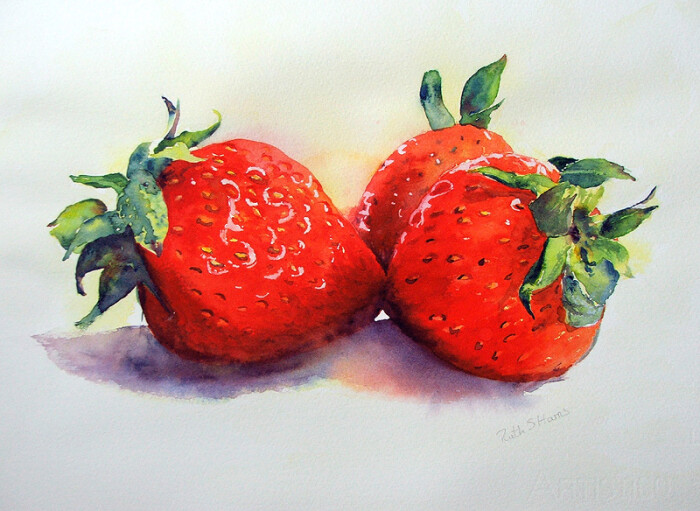 手绘水彩 水果草莓