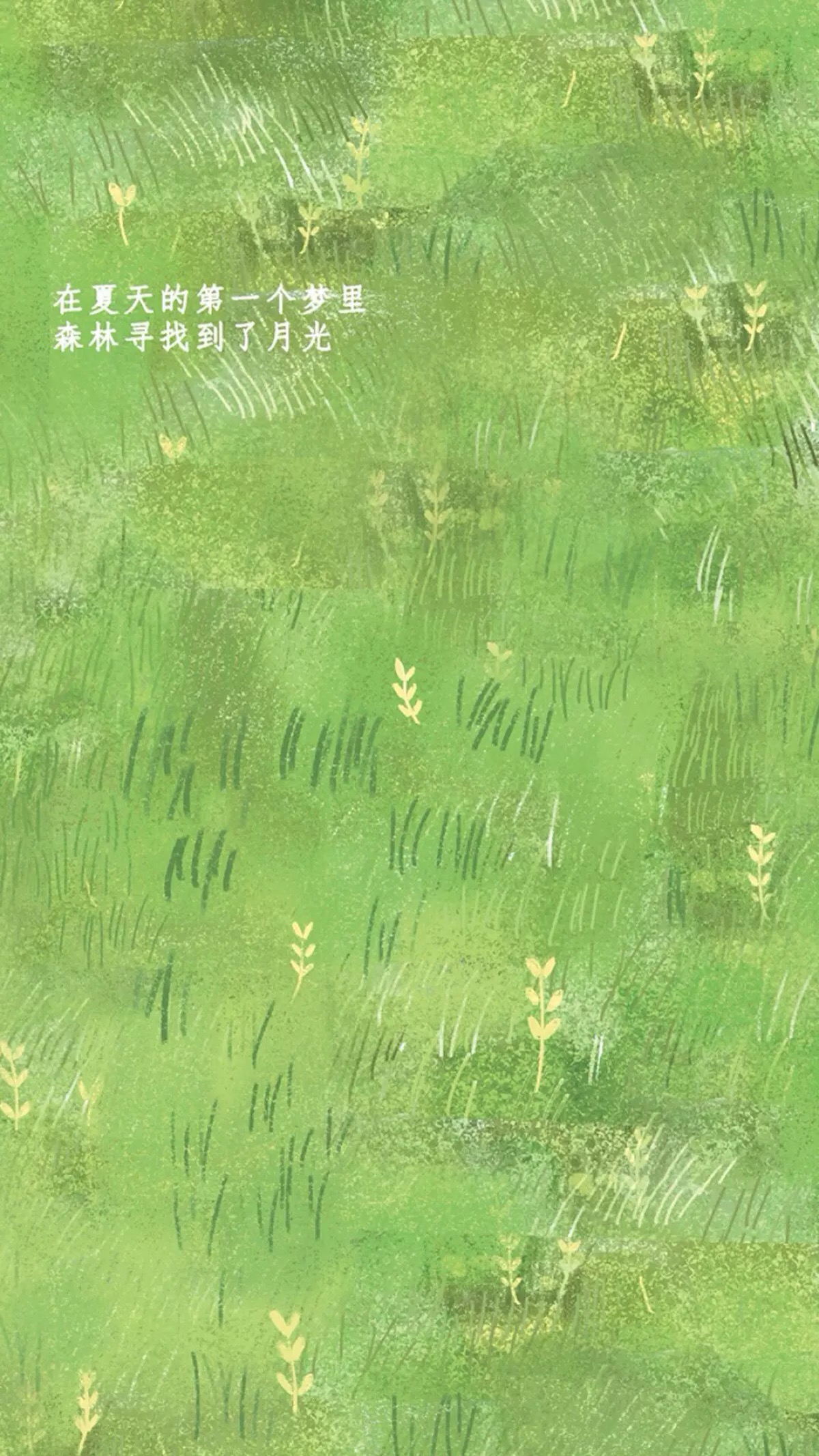 手机壁纸 草地 绿色