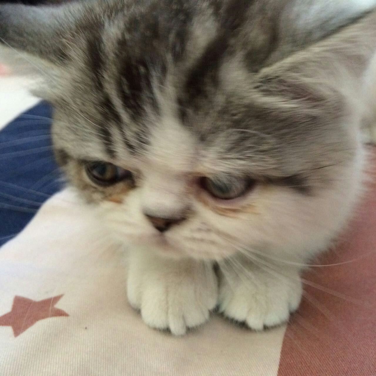 不要理我.我想静静