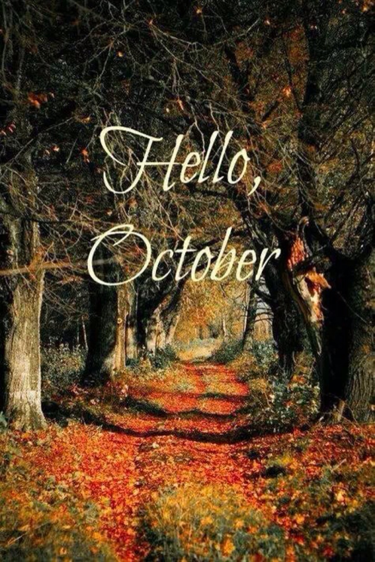 hello!october!