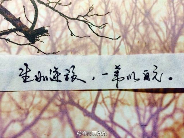 一如继往 堆糖网