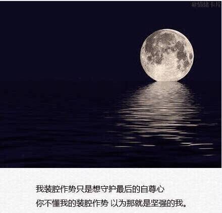 我装腔作势只是想守护最后的自尊心 你不懂我的装腔作势 以为那就是