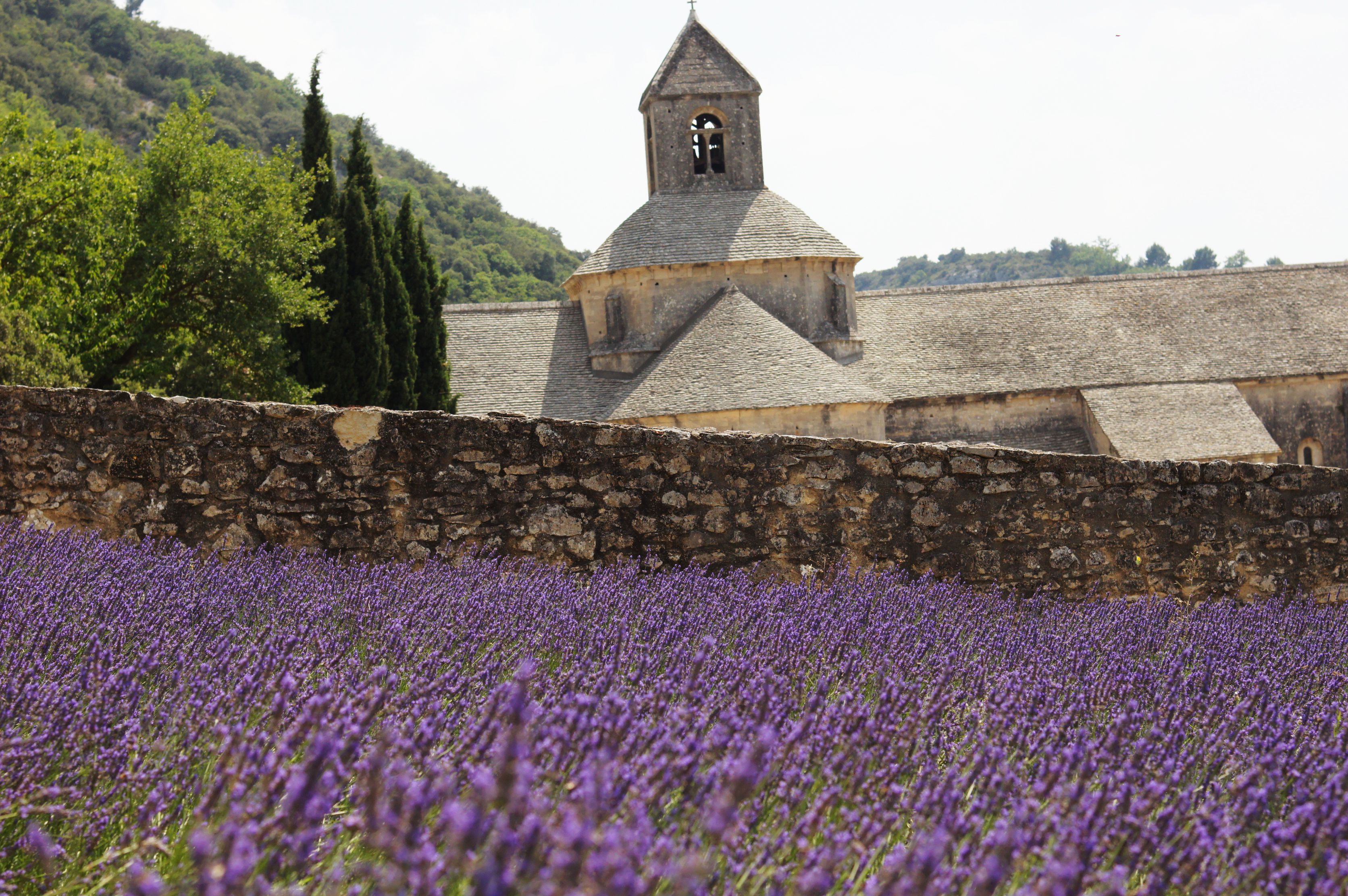 薰衣草之乡【valensole 根据每年天气,七八月份的时候,南法