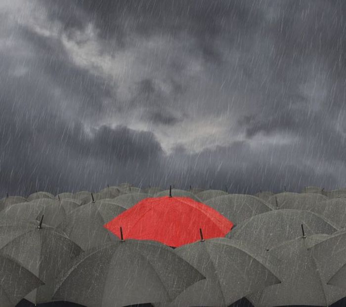 窗外飘着蒙蒙细雨,下雨了,趴在窗前.