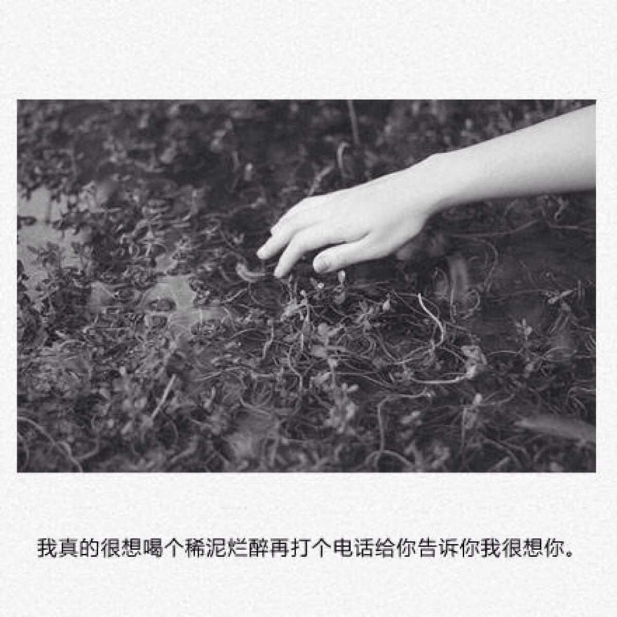 语录#心情#暗恋#情感#唯美#青春#心语#情话#文摘#爱情#友情#虐心话