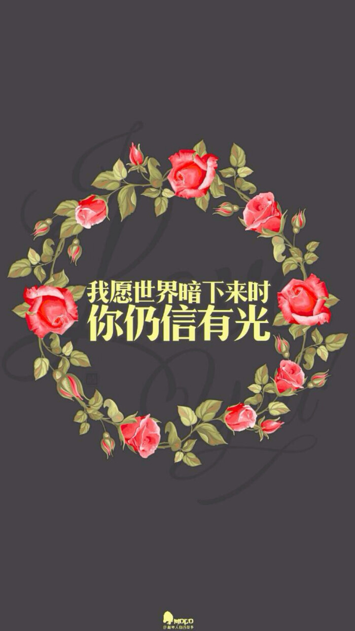 愿世界暗下来时,你仍相信有光