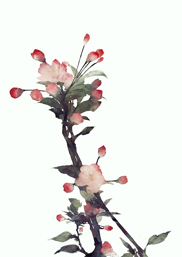 花草,水墨,封面,淡雅,唯美,插画,古风