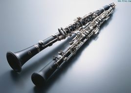 单簧管,又称黑管或克拉管,在台湾又称为竖笛(英语称clarinet,意大利语