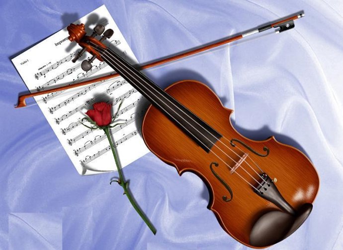 小提琴--弓弦乐器。起源于阿拉伯,十一…-堆糖