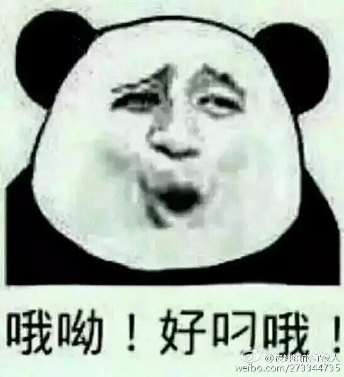 哦哟 好叼哦