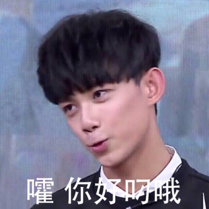 吴磊 表情包 leo