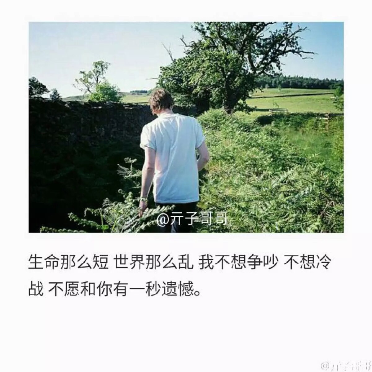 遗憾-堆糖,美好生活研究所