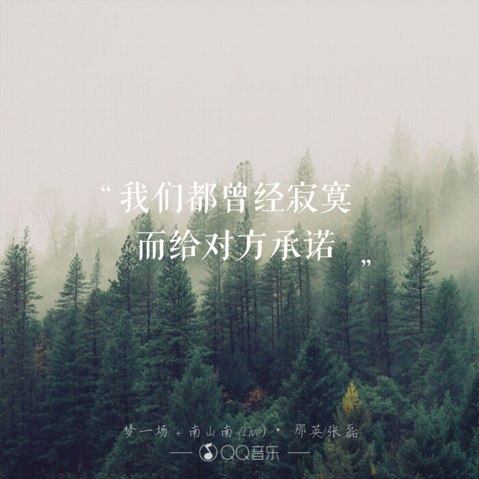 那英 张磊 《一场梦 南山南》我们曾经寂寞 而给对方承诺(文字伤感