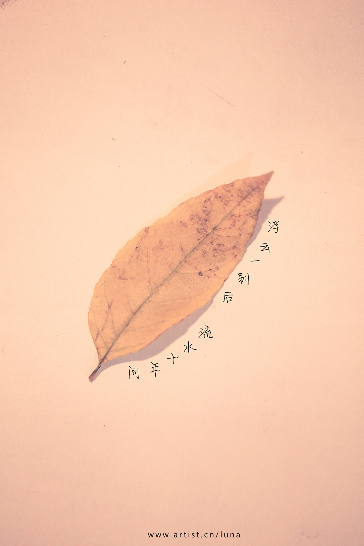 天涯太远,时光太长,青春意气,终究抵不过荏苒时光.