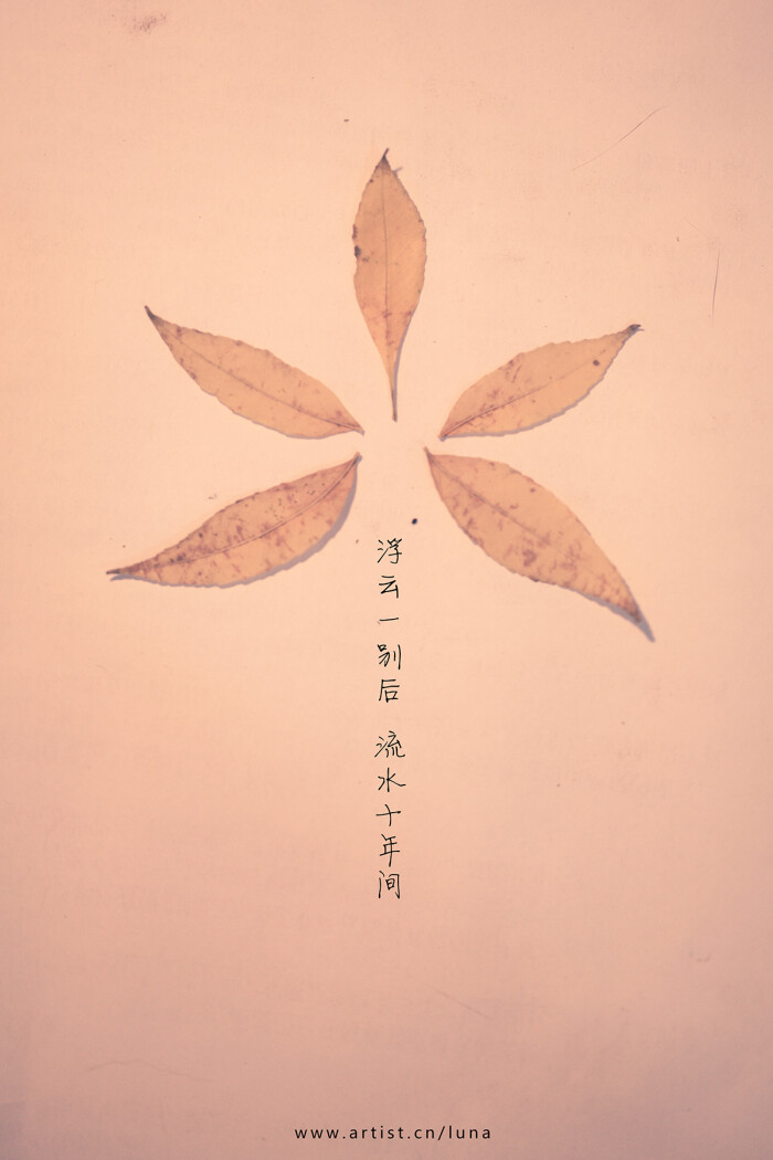 天涯太远,时光太长,青春意气,终究抵不过荏苒时光.