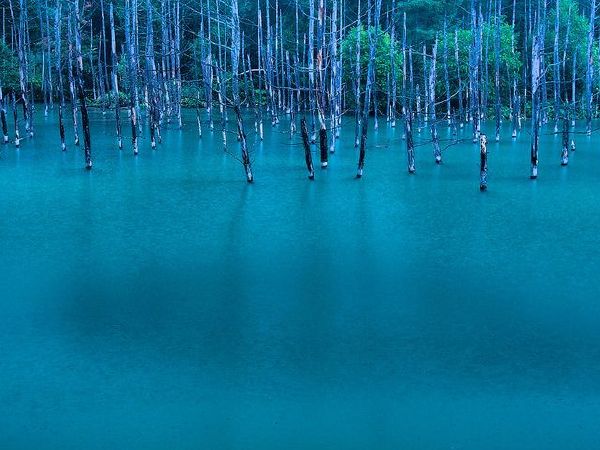 日本蓝色池塘,日本旅游必去景点攻略
