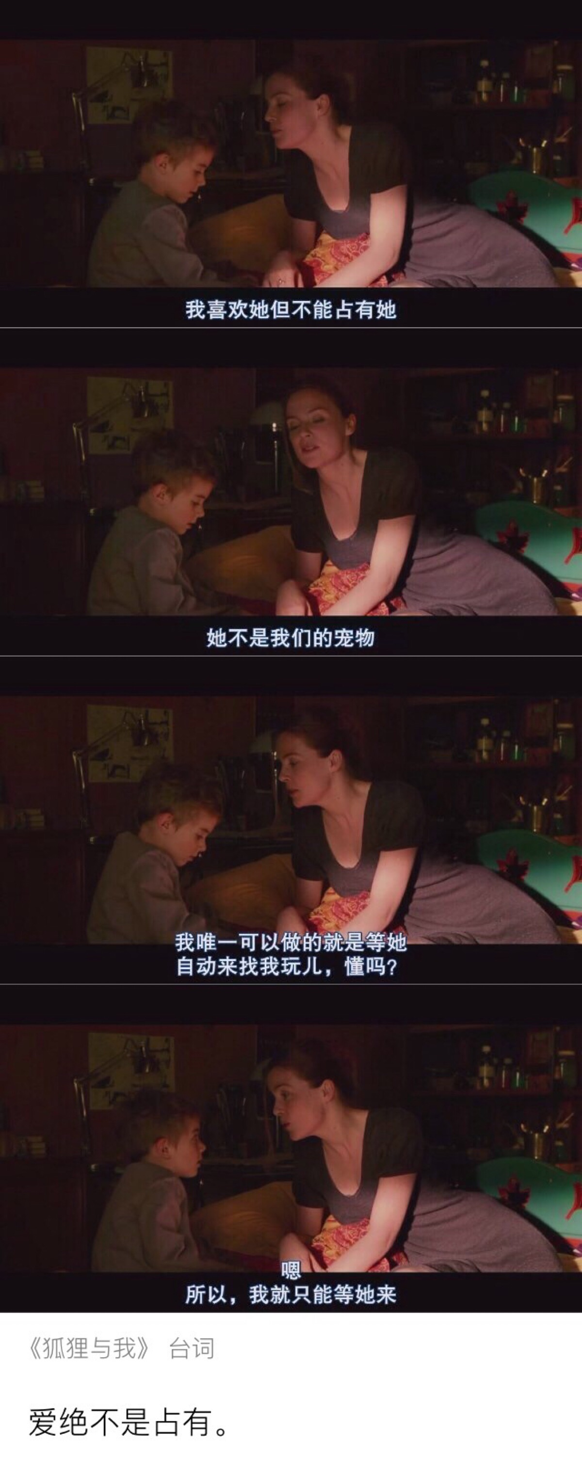 电影台词截图 所以 我只能等她来 "狐狸与我" 忱离