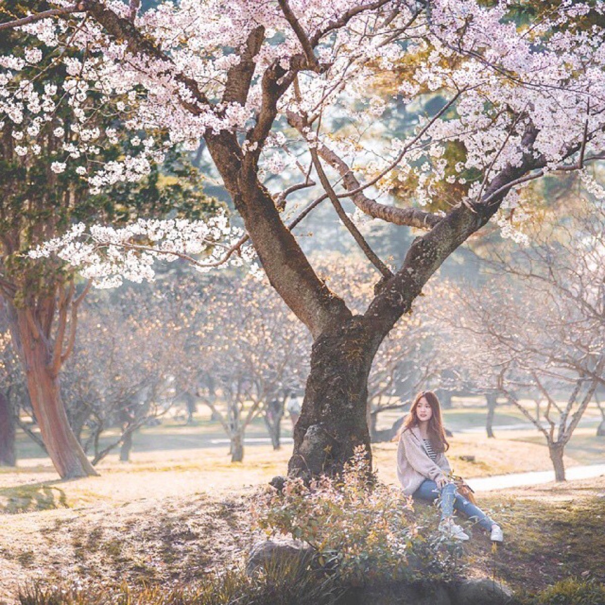 女生头像 小清新 欧美 阳光 复古 背影 可爱 黑白 唯美 个性 少女