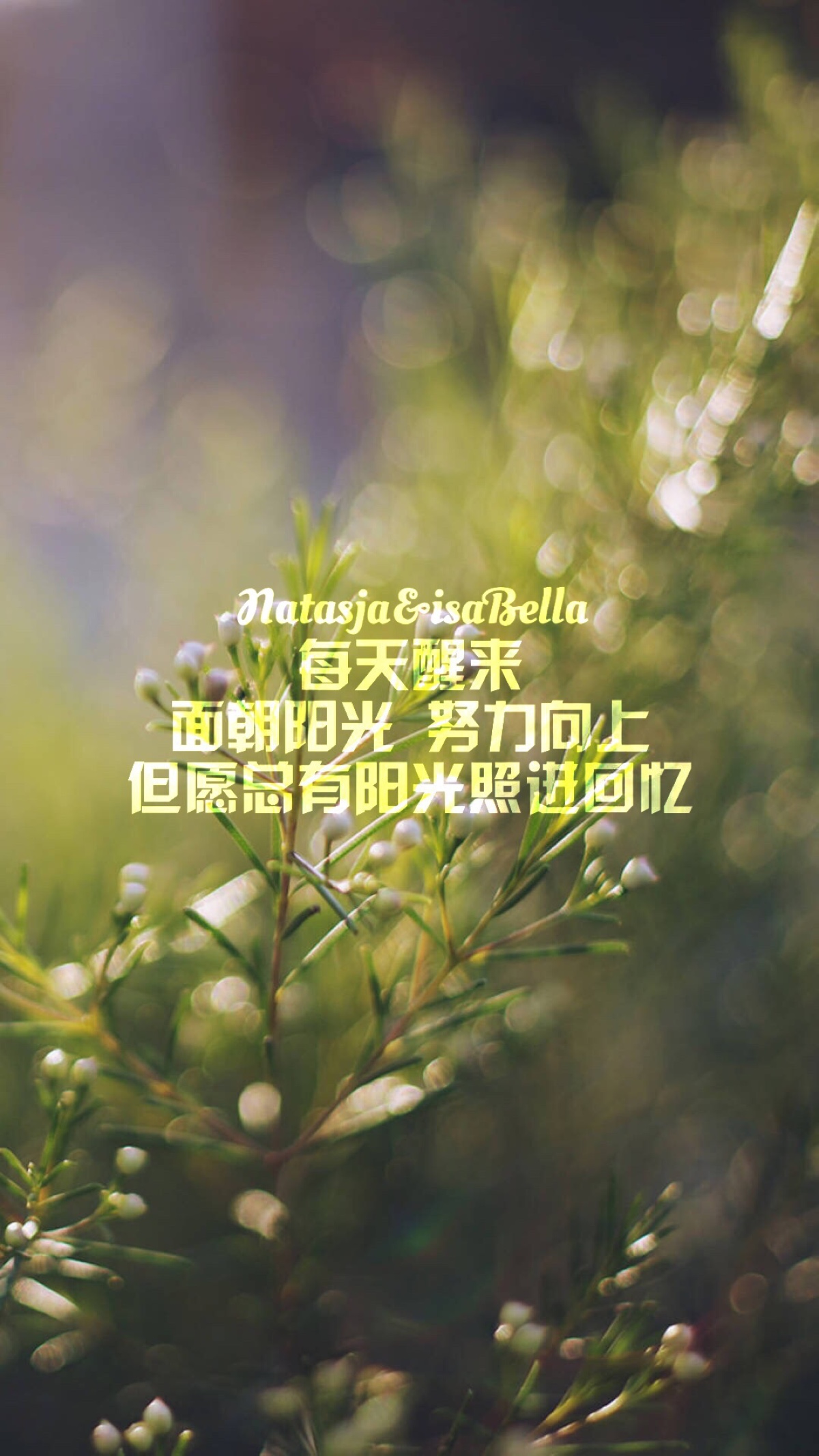 natasja 原创自制壁纸 文字 心情 清新 治愈 励志 意境 文艺 正能量