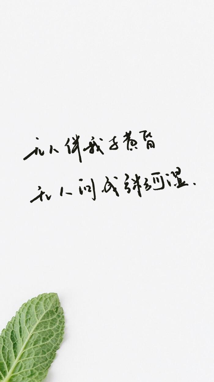 手写,文字控