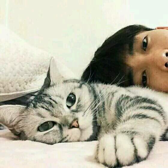 猫#情侣头像#一对