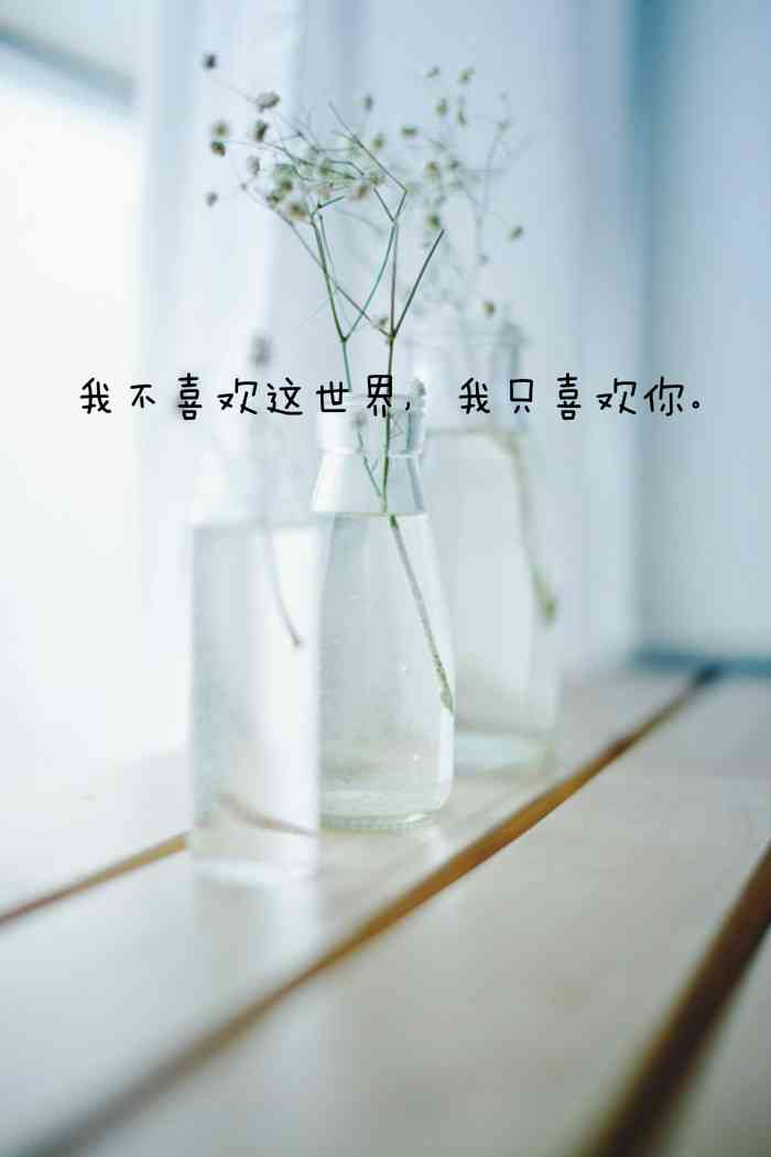 壁纸 满天星 文字