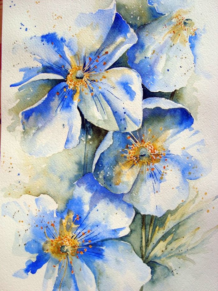 水彩花卉素材系列 by watercolour florals