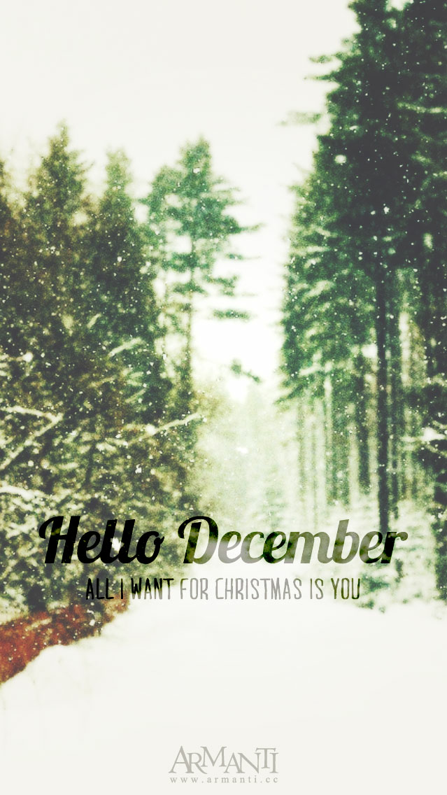 『hello,december』