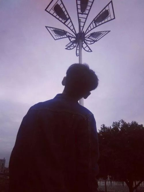 背影男头 拿图点赞
