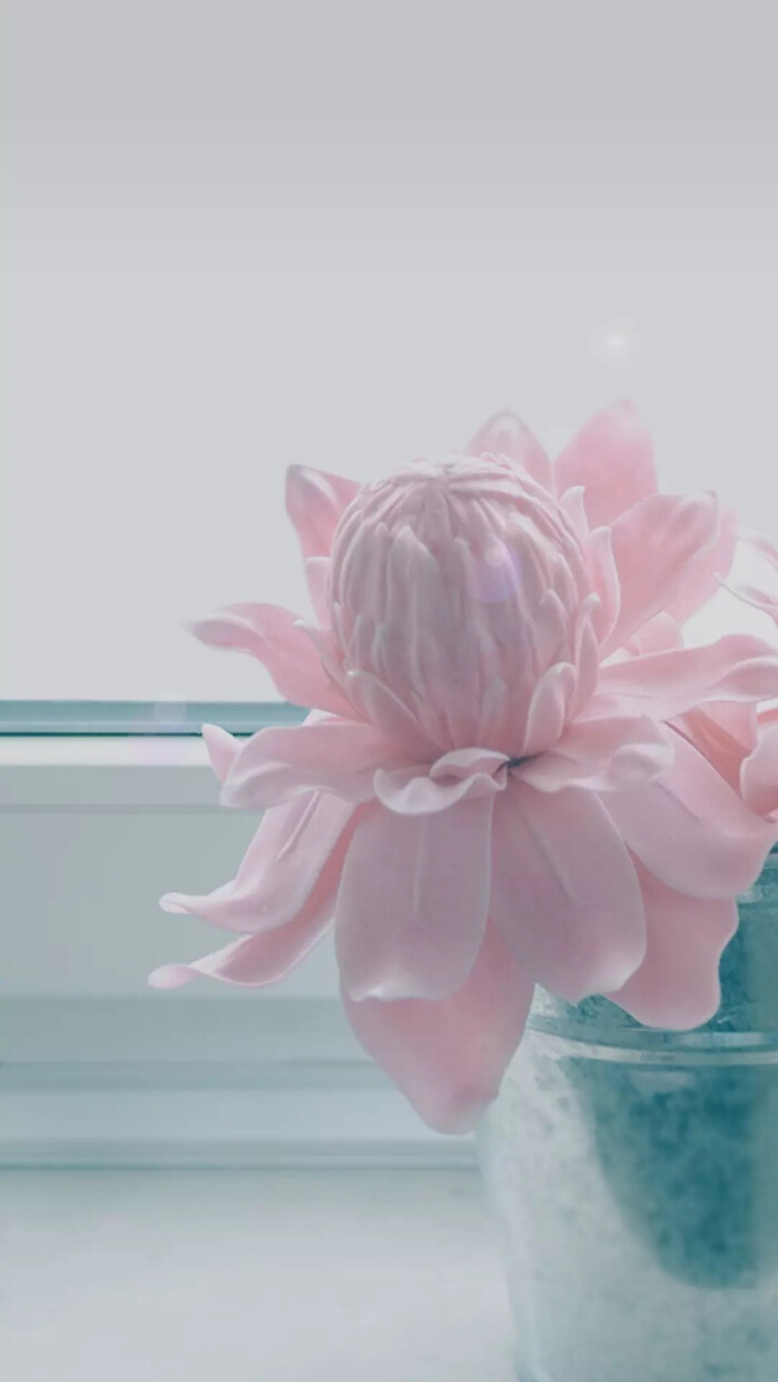 复古风格 花壁纸 手机锁屏 清新风