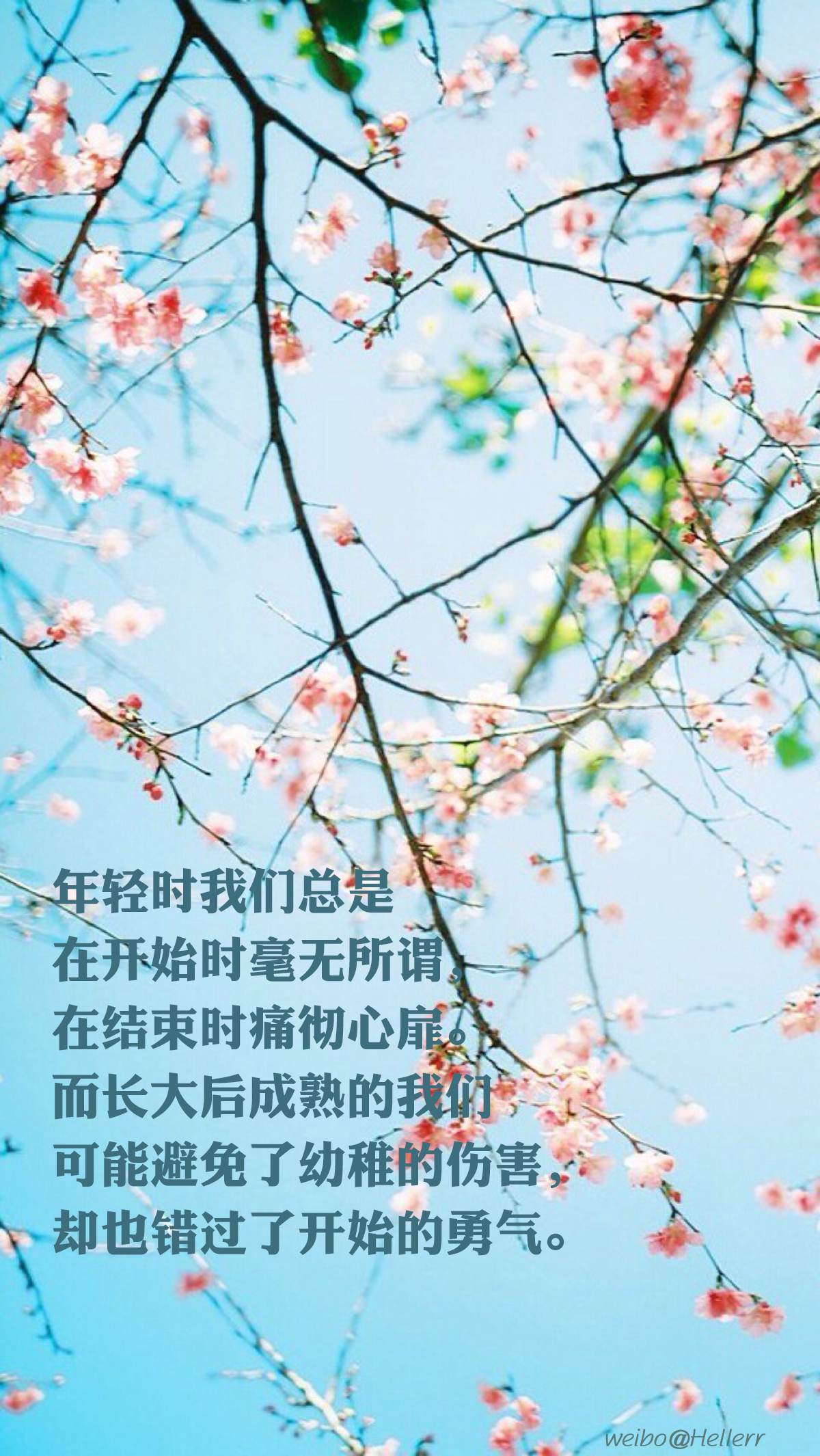 [禁二改上传禁商用]原创/自制/独家/手机壁纸/屏保/锁屏/心情/文字