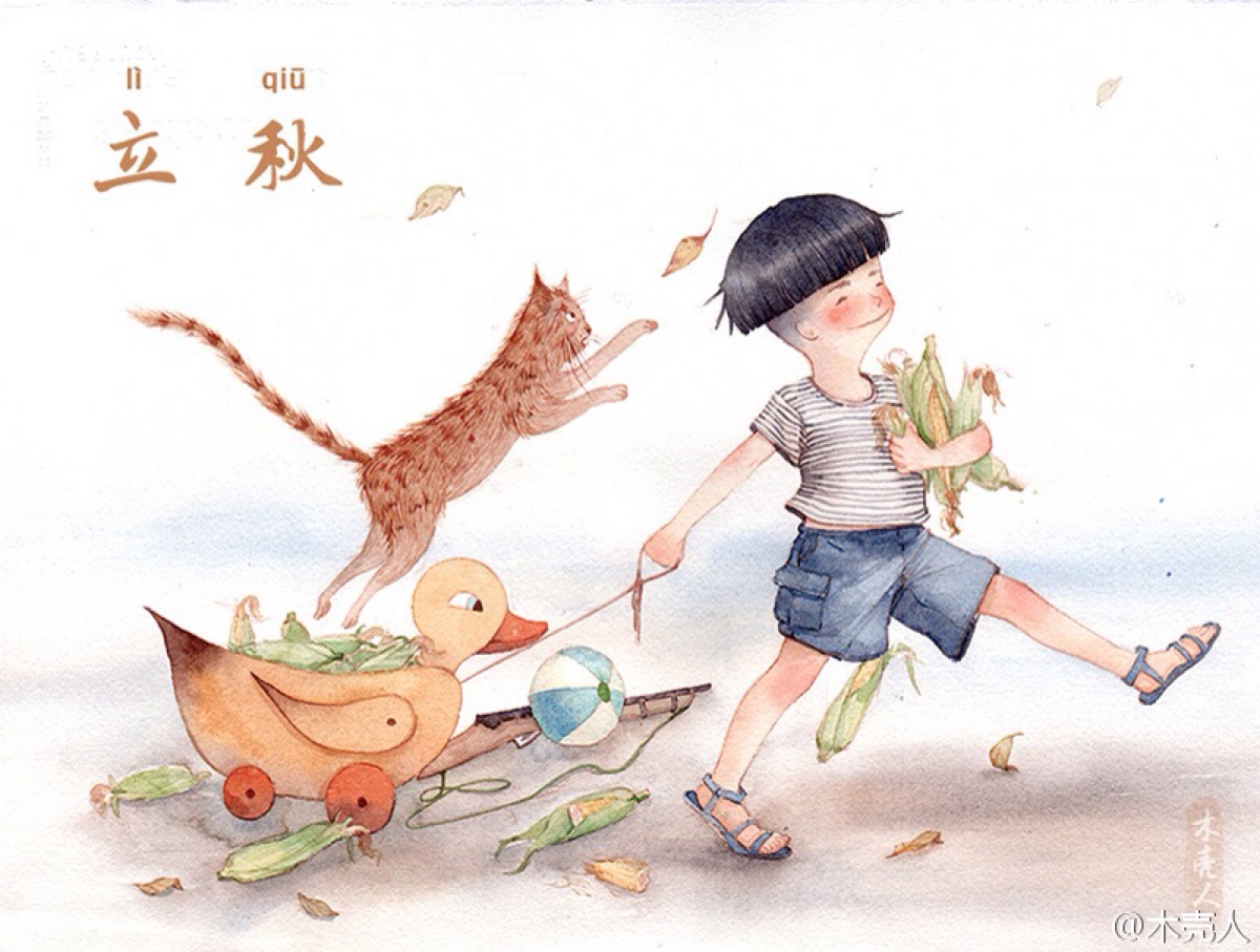 立秋#二十四节气#木壳人