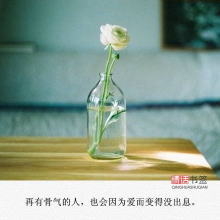 文字句子图片##治愈##青春#励志##唯美##壁纸##头像##by情话书签