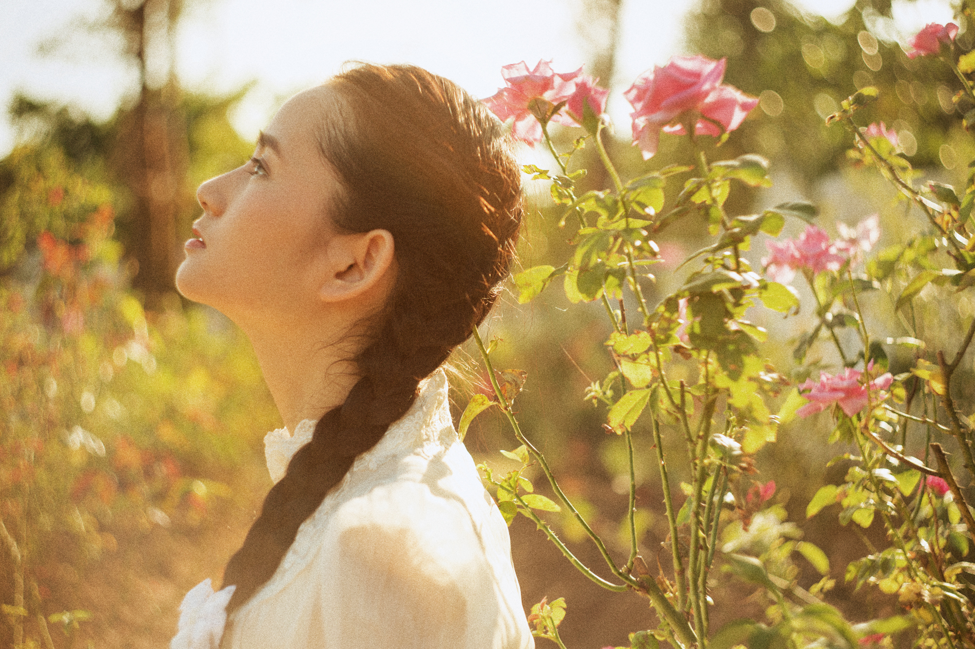 月季园 少女 女生 写真 人像 头像 封面 复古 文艺 森系 逆光 阳光