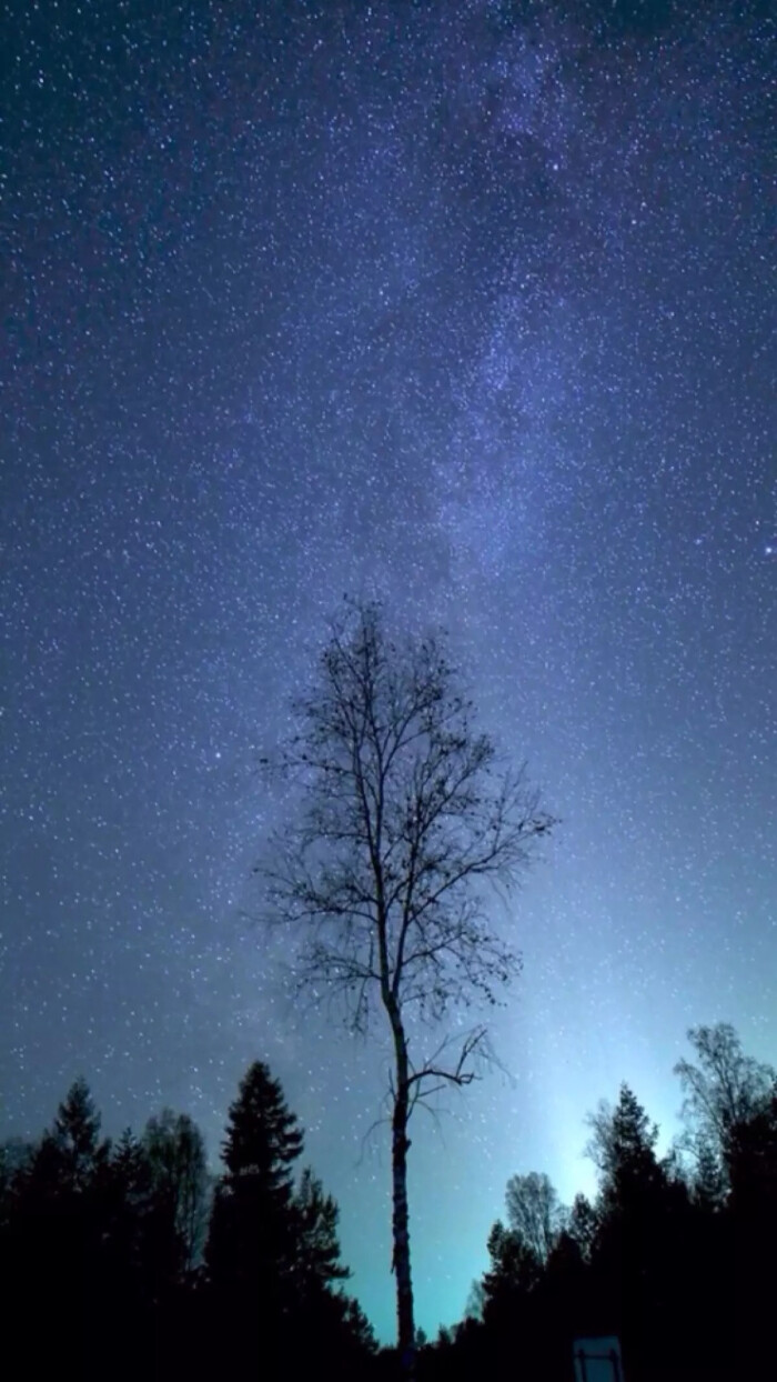 唯美星空 夜景 夜空 星光 自然风景 iphone手机壁纸 唯美壁纸 锁屏