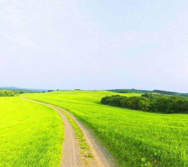 辽阔的田野