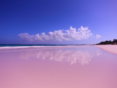 粉色沙滩位于巴哈马群岛上哈勃岛,被美国《新闻周刊》评选为世界上最