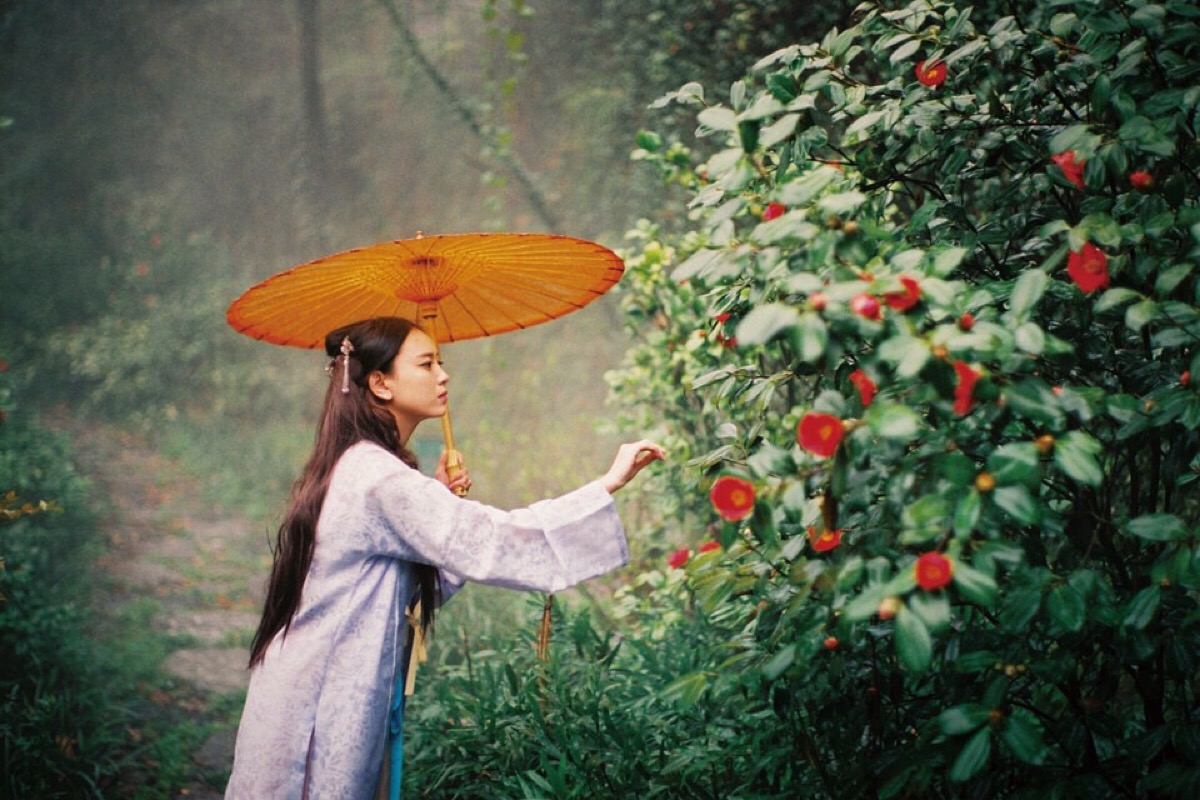 撑着油纸伞.独自彷徨在悠长,悠长又寂寥的雨巷.